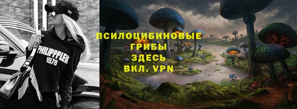 гидра Беломорск