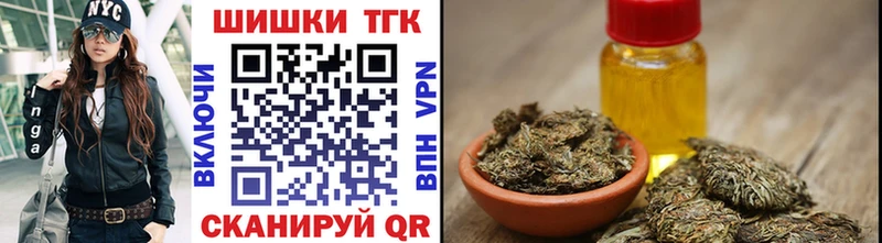 Конопля сатива  Пионерский 